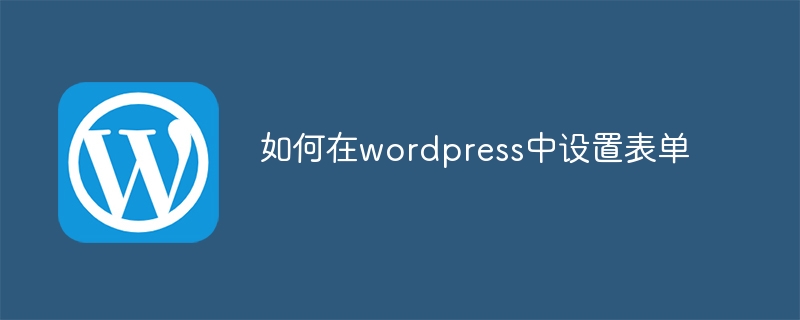 如何在wordpress中设置表单