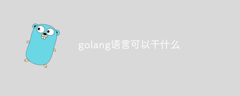 golang语言可以干什么