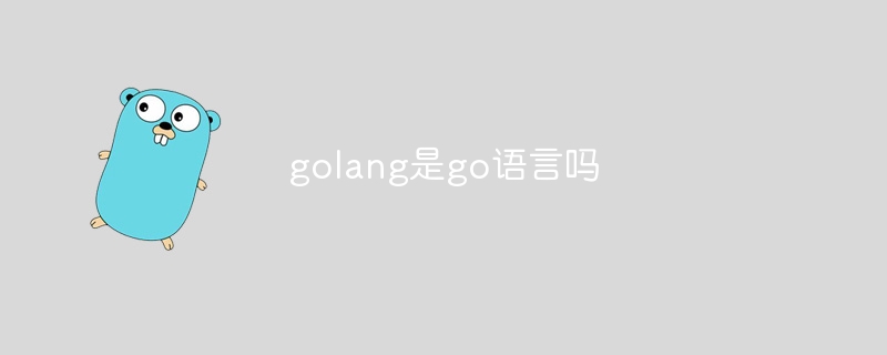 golang是go语言吗