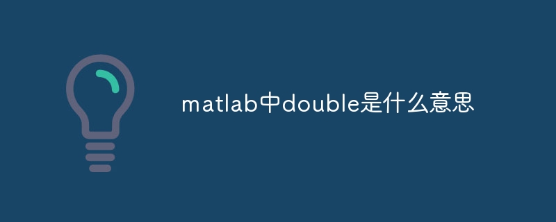 matlab中double是什么意思