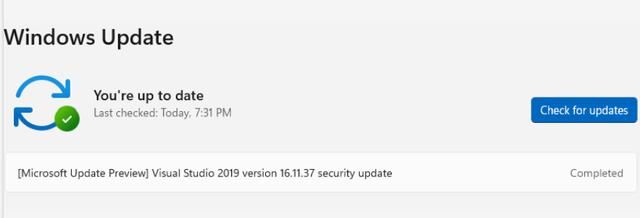 Visual Studio将支持Windows Update更新: 附自动更新技巧插图4