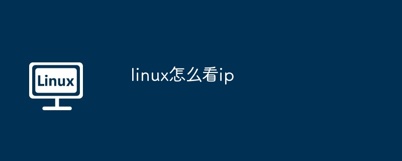 linux怎么看ip