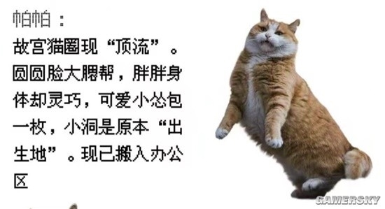 御猫也得做身材管理：故宫猫减肥备战猫王大赛