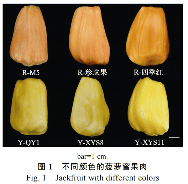 它的硒含量是苹果41.7倍！可惜很多人都扔了