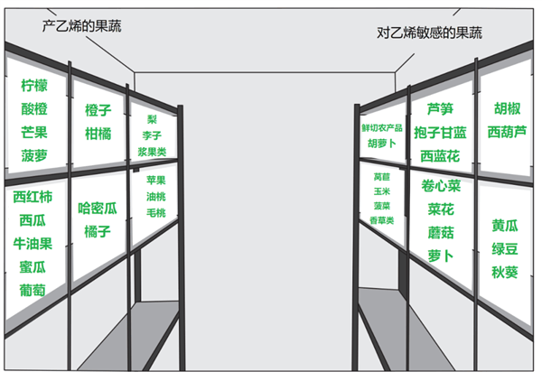 家人们 这两类水果在冰箱里真的不要放一起！