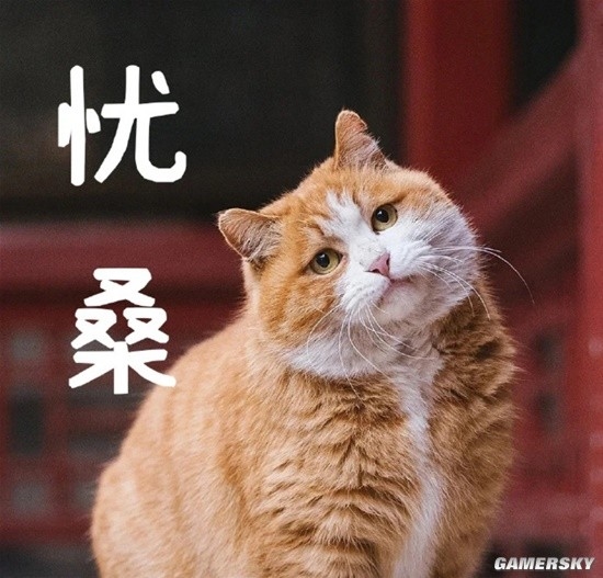 御猫也得做身材管理：故宫猫减肥备战猫王大赛