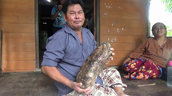 泰国男子为治痛风吃鲸鱼呕吐物：每日一勺融入热水