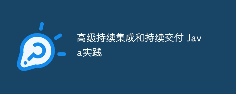 高级持续集成和持续交付 Java实践