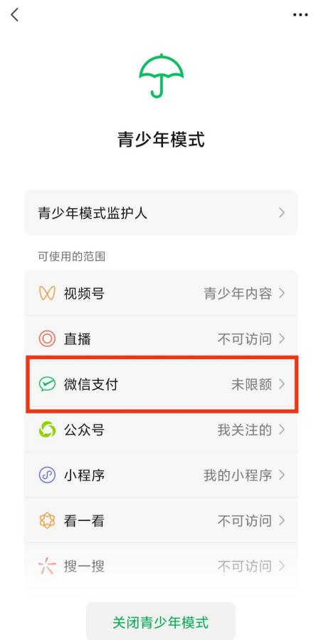 微信青少年模式怎么设置限制付款 微信青少年模式设置限制付款教程