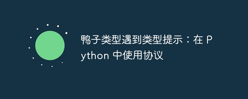 鸭子类型遇到类型提示：在 python 中使用协议