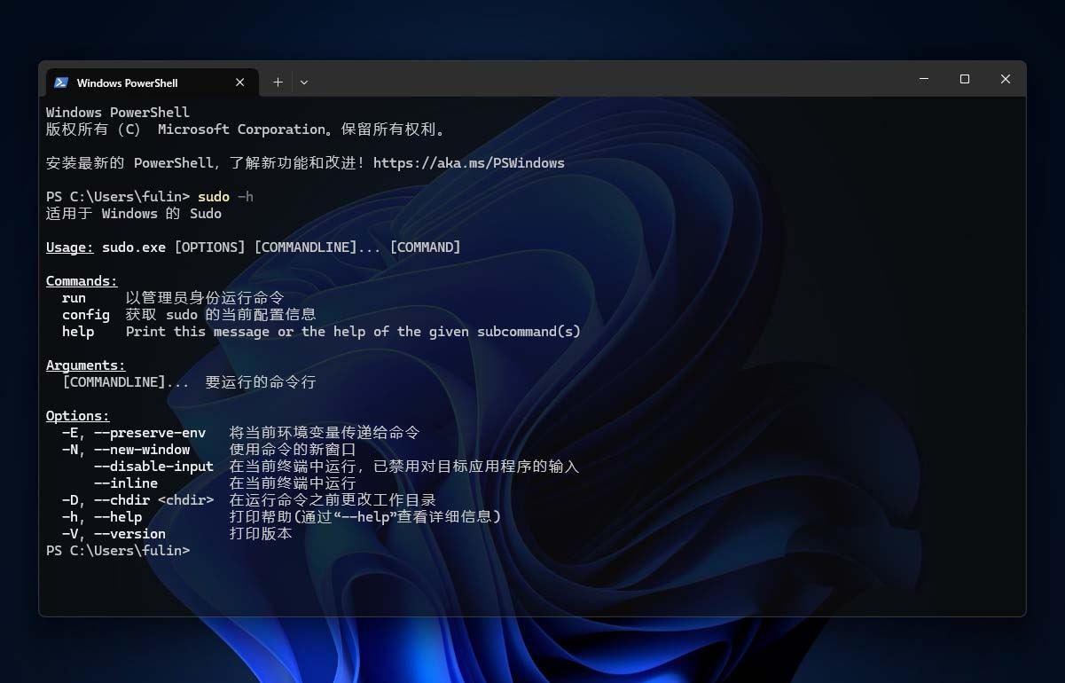 windows下的sudo命令是什么? Win11 24H2中Sudo 命令使用方法插图6