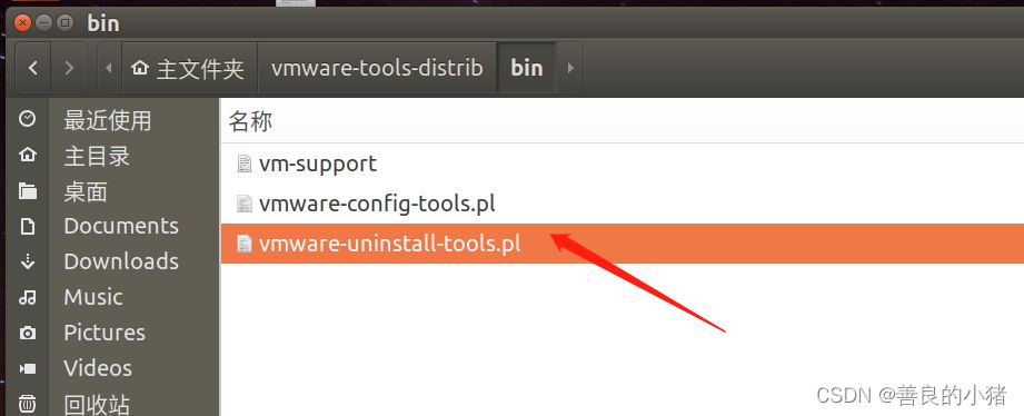 Ubuntu中VMware安装tools之后无法复制粘贴和拷贝怎么解决?插图6