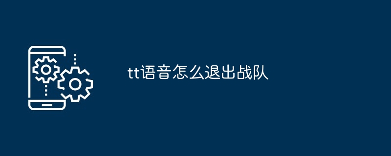 tt语音怎么退出战队