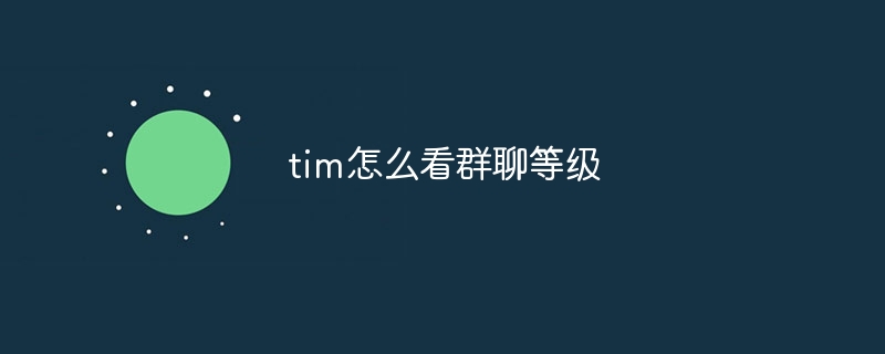 tim怎么看群聊等级