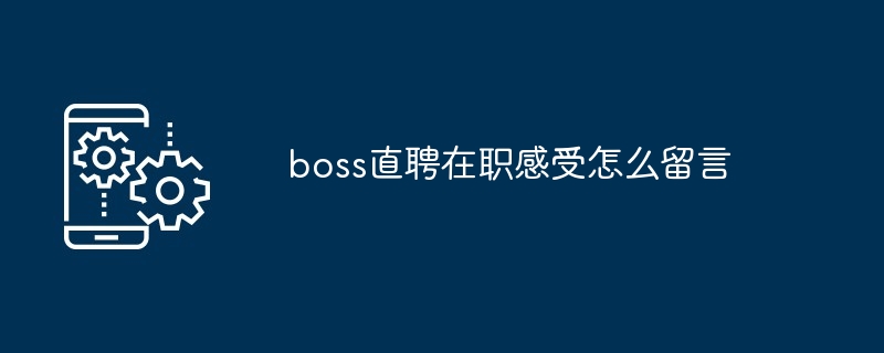 boss直聘在职感受怎么留言