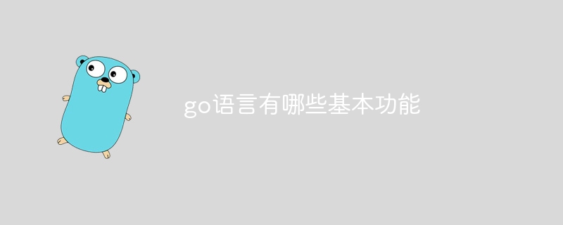 go语言有哪些基本功能