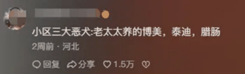 邪恶摇粒绒是什么梗 邪恶摇粒绒梗意思介绍