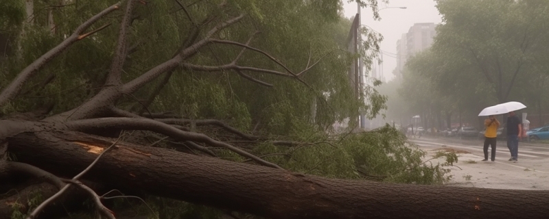 台风的源地及成因 台风源地的经纬度位置