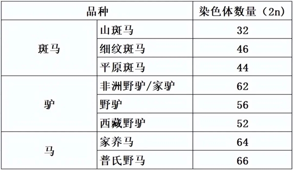 马科马属动物太疯狂！染色体截然不同 却能随意杂交