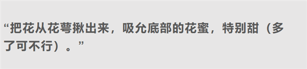 剧毒的曼陀罗花蜜也敢吃：昆明小松鼠的胆儿真大