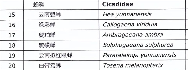 甘肃37人抓野蝎子被捕 缴获2.1万只价值20多万 捉蝎子也违法？