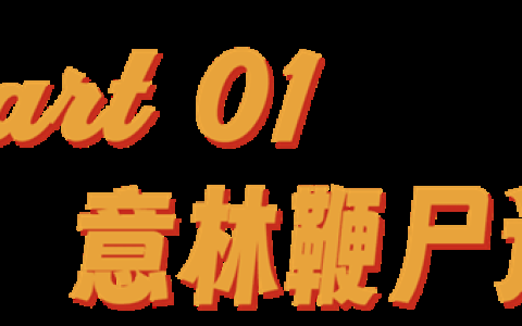 意林的风 终究吹回了老外家里