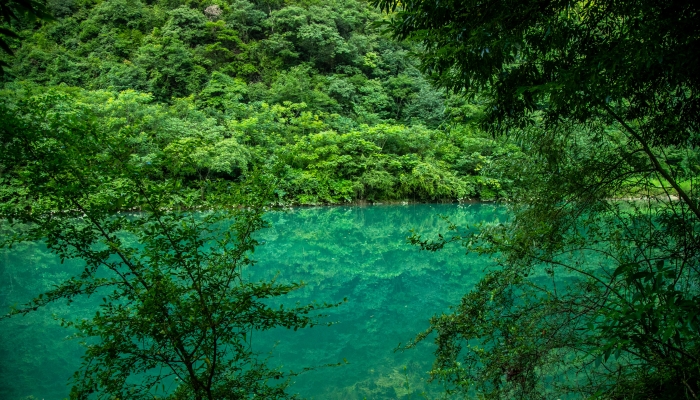 小暑节气来临，全国雨热交加，四川盆地陕西河南山东等地有强降雨