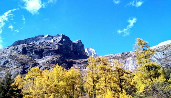 五台山风景区7头牛遭雷击死亡  雷雨天气注意事项有哪些