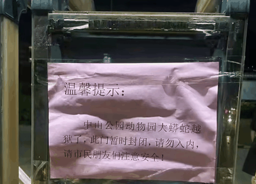 福建一野生动物保护园蟒蛇“越狱”：10多斤重 会缩骨术