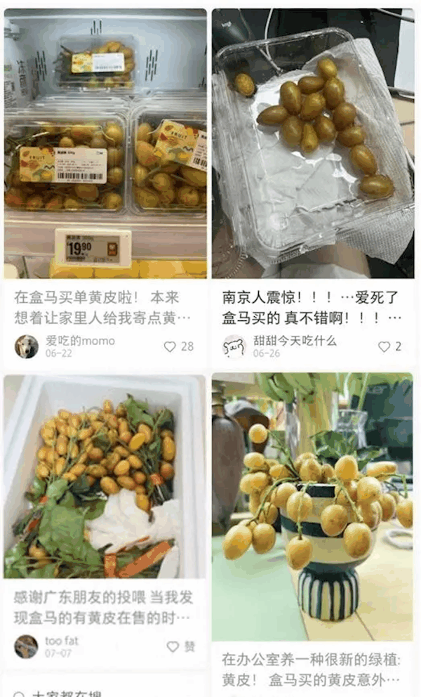 黄皮成水果新顶流 盒马销量连续三年双位数增长