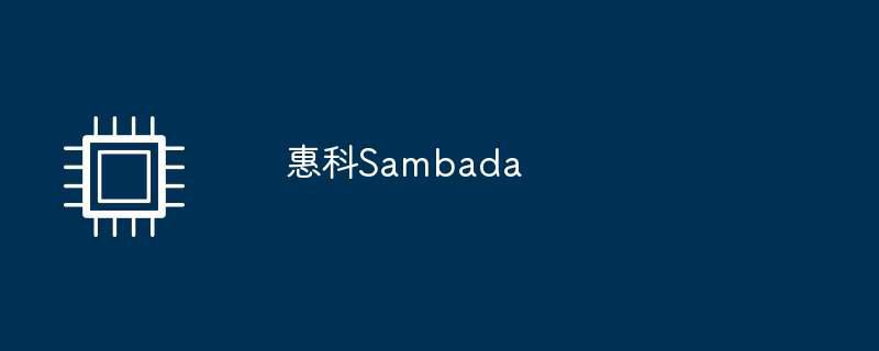 惠科sambada