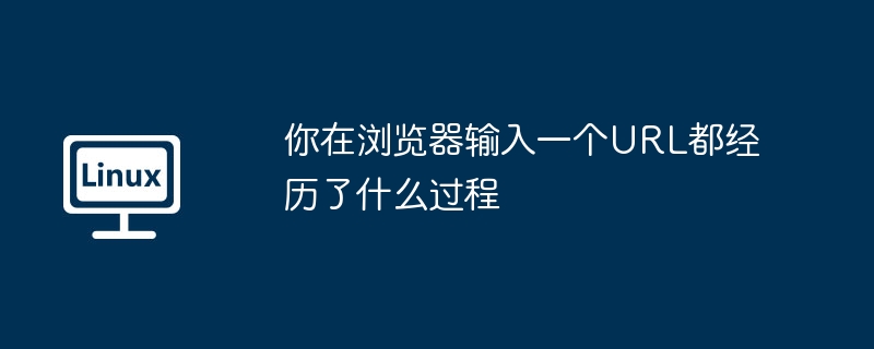 你在浏览器输入一个url都经历了什么过程