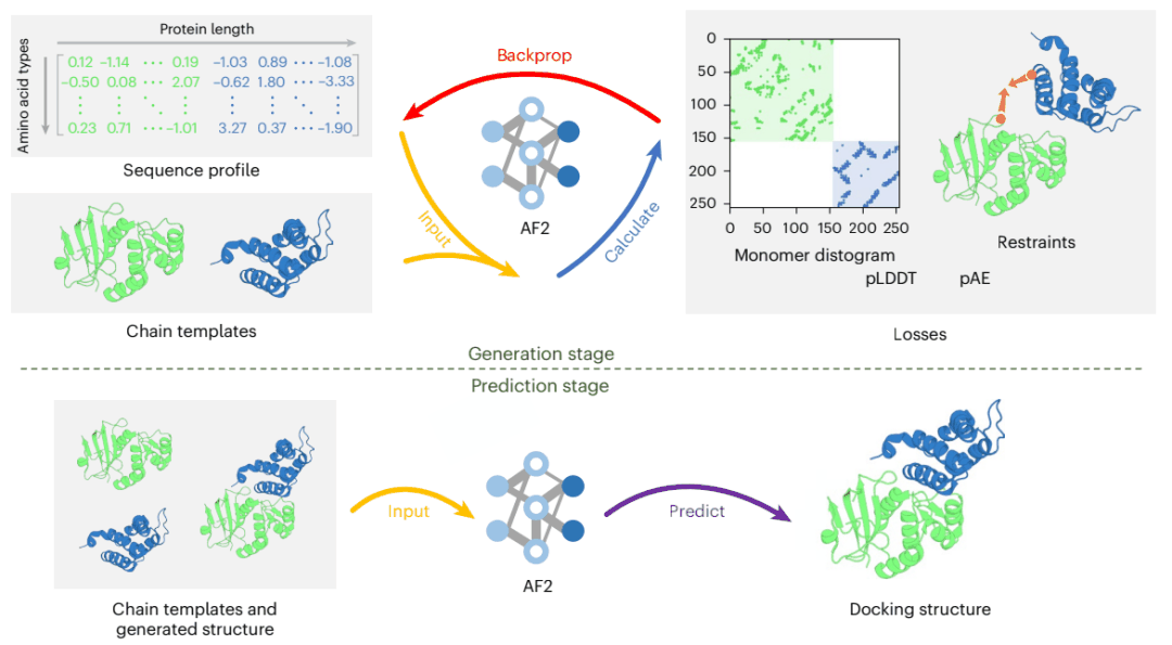 Nature子刊，北大团队通用AI框架对蛋白-蛋白对接进行综合结构预测，弥合实验与计算的差距