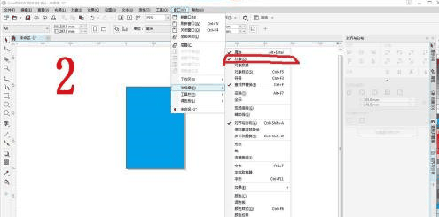 CorelDraw 2019页面之外文件无法显示到下一页怎么办 CorelDraw 2019页面之外文件无法显示到下一页的解决方法