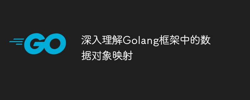 深入理解Golang框架中的数据对象映射