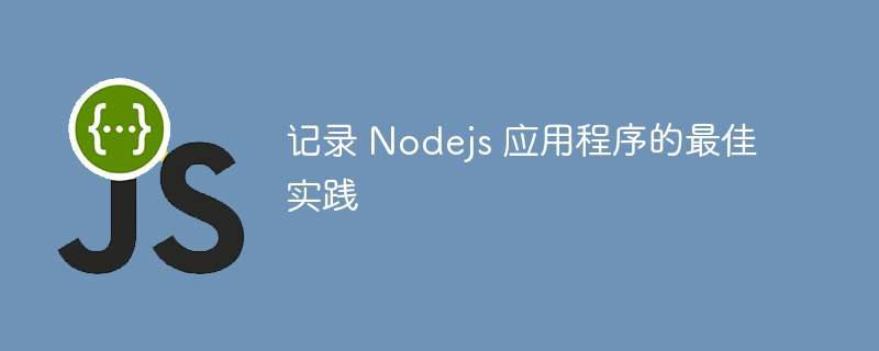 记录 nodejs 应用程序的最佳实践