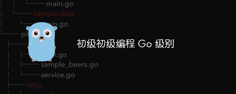 初级初级编程 go 级别