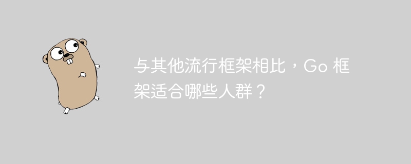 与其他流行框架相比，Go 框架适合哪些人群？