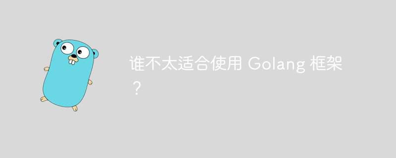 谁不太适合使用 Golang 框架？