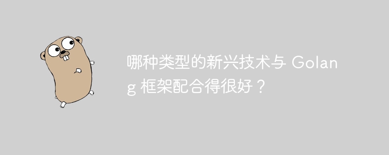 哪种类型的新兴技术与 Golang 框架配合得很好？