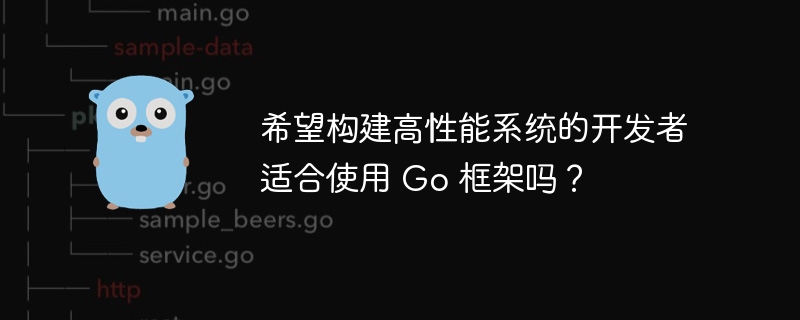 希望构建高性能系统的开发者适合使用 Go 框架吗？