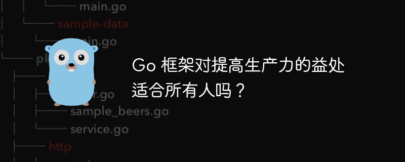 Go 框架对提高生产力的益处适合所有人吗？