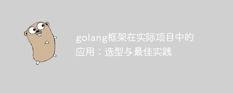 golang框架在实际项目中的应用：选型与最佳实践