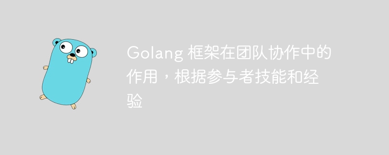 Golang 框架在团队协作中的作用，根据参与者技能和经验