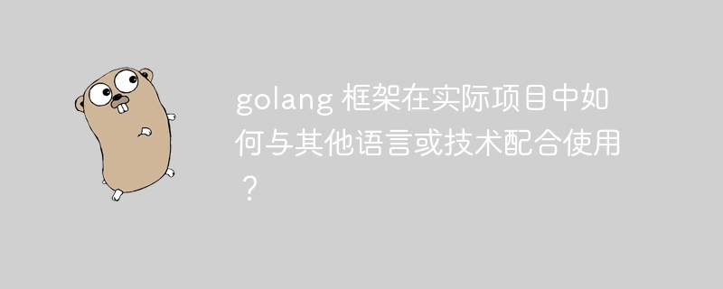 golang 框架在实际项目中如何与其他语言或技术配合使用？