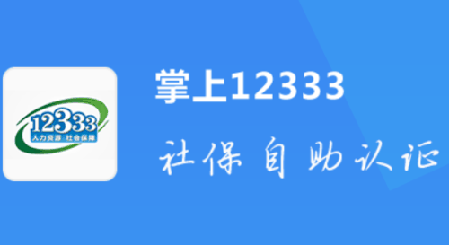 掌上12333社保个人权益在哪看