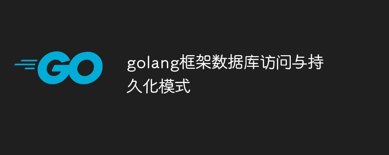 golang框架数据库访问与持久化模式