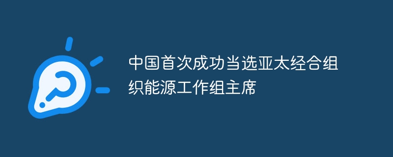 中国首次成功当选亚太经合组织能源工作组主席