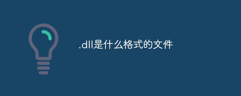 .dll是什么格式的文件