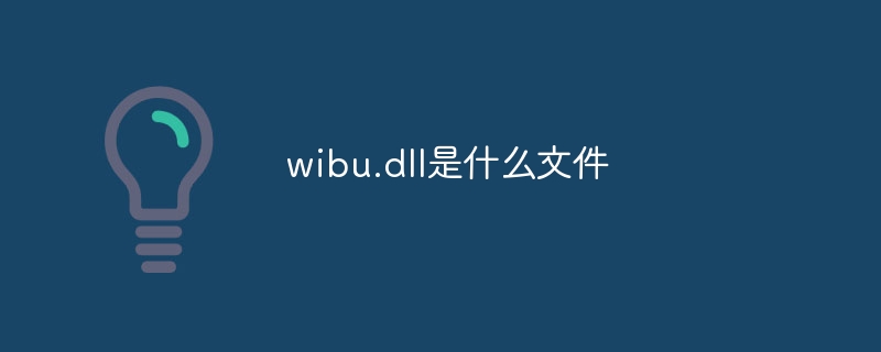 wibu.dll是什么文件